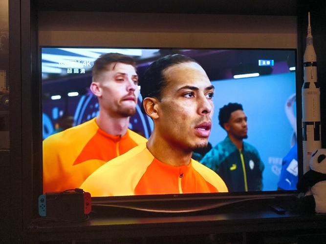 世界杯在线直播观看免费高清